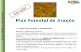 Plan Forestal de Aragón - Home | Aragón Participaaragonparticipa.aragon.es/sites/default/files/presentacion_dg-forestal.pdf · El ESQUEMA DIRECTOR establece el marco de la nueva