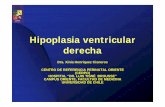 Hipoplasia ventricular derecha - CERPO · con o sin fístulas coronarias Manejo quirúrgico en hipoplasia acentuada de ventrículo derecho con o sin fístulas coronarias Blalock (tubo