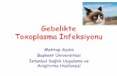 Gebelikte Toxoplasma İnfeksiyonu · 2015-06-10 · hastalık belirtileri (koriyoretinit, epilepsi, iitme kaybı) •Konjenital Toxoplasma infeksiyonu sinsi ve fatal seyirli olabilmektedir.