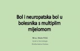 Mario Pirsic Bol i neuropatska bol u bolesnika s multiplim ...¡ić.pdf•Opioidni analgetici: morfinsulfat, kodein •Injekcije lokalnih anestetika (lidokain) –„blokade” •Ostale