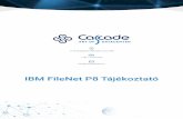 IBM FileNet P8 Tájékoztató - Főoldal · 2017-09-27 · IBM FileNet P8 Tájékoztató 2.2.1 Taskmaster Szerver, RuleRunner Szerver Taskmaster Szerver Ez a komponens a Datacap alkalmazás