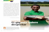 Acuicultura en Brasil El gigante quiere despertar · 2013-02-04 · en el décimo lugar del ranking mundial de países acuícolas en términos de producción. En tanto, Brasil, que