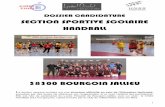 SECTION SPORTIVE SCOLAIRE HANDBALL - lycee oiseletlycee-oiselet.fr/.../Dossier_Candidature_Section_Handball_2010_8_pages... · 1 DOSSIER CANDIDATURE SECTION SPORTIVE SCOLAIRE HANDBALL