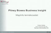 Pitney Bowes Business Insightgisopen.hu/archiv/2009/eloadasok/ppt/CS08_Feher.pdfA MapInfo Professional• MapInfo Professional egy sokoldalú térinformatikai („Tér-Intelligencia”)