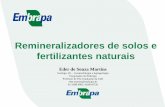 Remineralizadores de solos e fertilizantes naturais · Intemperismo Formação de solos Solo muito intemperizado (Latossolo) Minerais primários Argilominerais 2:1 Óxidos de ferro