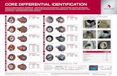 CORE DIFFERENTIAL IDENTIFICATION...Excessive Weld Inner Case – Cracked IDENTIFYING THE DIFFERENTIAL TYPE The Identiﬁ cation Plate Every differential leaving the Meritor factory
