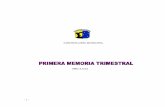 1ra MEMORIA TRIMESTRAL 2 - cipolletti.gob.ar · PRIMERA MEMORIA TRIMESTRAL PERIODO ENERO – FEBRERO - MARZO AÑO 2.013 I – CONTROL DE ACTOS ADMINISTRATIVOS ... designaciones, pases