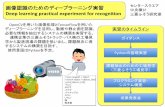 画像認識のためのディープラーニング実習 3F Deep …web.tohoku.ac.jp/eng-cee/pdf/seminar2019.pdf画像認識のためのディープラーニング実習 Deep learning