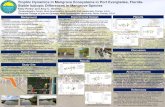 Trophic Dynamics in Mangrove Ecosystems in Port Everglades ... · Trophic Dynamics in Mangrove Ecosystems in Port Everglades, Florida- Stable Isotopic Differences in Mangrove Species