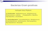 Bacterias Gram positivas - WordPress.com · S. equi sbp equi Patógeno huésped-específico Evolucionó a partir de S. equi sbp zooepidemicus con quien comparte 97% de homología