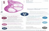 labo-barla.eulabo-barla.eu/wp-content/uploads/2019/01/ibc-amh-web.pdf · L'AMH variant très peu au cours du cycle menstruel (nadir observé en péri-ovulatoire) il n'est pas nécessaire