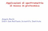 Applicazioni di spettrometria di massa in proteomica...Applicazioni di spettrometria di massa in proteomica Angela Bachi Dibit-San Raffaele Scientific Institute Outline • A SILAC