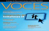 Programas del Inttelmex IT Inttelmex ITdownloads.telmex.com/pdf/voces470.pdf · • Auditoría Informática • Propiedad Intelectual y IT ... combinando capacidad empresarial mexicana,