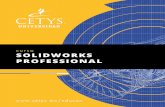 c solidworks professional - cetys.mx · Módulo VII. Desarrollo de dibujos de detalle • Vistas proyectadas • Vistas Auxiliares • Vistas de Sección • Vistas parciales •