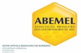 Apresentação do PowerPoint · 2016-05-11 · FONTE: ALIECEWEB EXPORTAÇÃO BRASILEIRA DE MEL NATURAL – 2013 A 2016 As exportações de mel no mês de abril foram 17,43% superiores