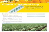 Cinta Chapin-Drip LINEA... · 2019-07-10 · Jain Turbo Excel ® Plus Características y Especificaciones primera línea de goteo puntuación de cinco estrellas del mundo Un tubo
