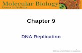 Chapter 9 - KOCWcontents.kocw.net/KOCW/document/2014/koreasejong/...DNA replication은 bidirectional Figure 9.6 Unidirectional replication Bidirectional replication 1963년 Cairns는