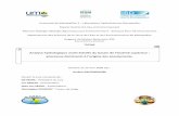 Analyse hydrologique multi-échelle du bassin de l'Ouémé ...horizon.documentation.ird.fr/exl-doc/pleins_textes/divers16-08/010063035.pdfdu Pogamme d’Appovisionnement en Eau Potable