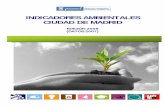 INDICADORES AMBIENTALES CIUDAD DE MADRID...A escala nacional, en el año 1996 el Ministerio de Medio Ambiente comenzó, asimismo, a elaborar un sistema de indicadores ambientales adap