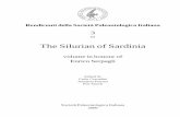 The Silurian of Sardinia · 158 C. Corradini, M. Del Rio, M. Gnoli, P. Pittau The only evidence of eurypterids in Sardinia is represented by a small fragment from the base of the