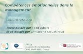 Compétences émotionnelles dans le management · 2011-06-17 · Formalisation d’un outilen vue de cerner le rôle des compétences émotionnelles Formalisation d’un outil à