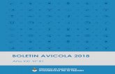 BOLETIN AVICOLA 2018 - Argentina.gob.ar · 4 BOLETIN AVICOLA 2018 – Año XXI N° 81 EXISTENCIAS DE REPRODUCTORAS PESADAS De acuerdo con las estimaciones del RENAVI1, las existencias