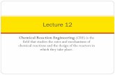 Lecture 12 - University of Michiganelements/5e/powerpoints/2013lectures/Lec... · 2019-08-07 · Lecture 12 . Lecture 12 – Tuesday 2/19/2013 ! Multiple Reactions ! Selectivity and