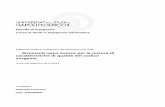 Corso di Studi in Ingegneria Informaticawpage.unina.it/ptramont/Download/Tesi/LAURENZAGABRIELLA.pdf · 2012-12-19 · 1.1 Standard ISO/IEC 9126 Engineering-Product Quality Lo standard