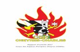 Rapport d’activité 2017 Corps des Sapeurs-Pompiers Cheyres …csp-cheyreschables.ch/portail/pdfs/rapport activit 2017.pdf · 2018-02-07 · d’accueillir les amis des sapeurs-pompiers