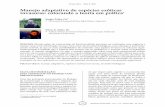 Manejo adaptativo de espécies exóticas invasoras: colocando a …ecologia.ib.usp.br/bie314/2013/aula4_NC_10.pdf · 2013-03-15 · adaptativo (Nyberg, 1999), um ciclo contínuo de