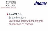 ANAME S.L. Sergio Montoya Tecnología plasma para mejorar ... · cargadas (aniones, cationes, radicales…) •Se mueve libremente •Reacciona a los campos eléctricos y magnéticos