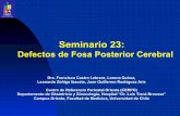 Seminario 23 - CERPO :: Centro de Referencia Perinatal Orientecerpo.cl/_items/File_002_00545_0016.pdf · Defectos de Fosa Posterior Cerebral Drs. Francisco Castro Lebrero, Lorena