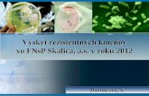 vo FNsP Skalica, a.s. v roku 2012 rezistentnch kmeov vo fnsp... · AMPC Test. ESBL Test. MBL Test Imip/imip EDTA Viac ako 8 IMIP IMIP/EDTA. Výskyt NK v FNsP, a.s. Skalica 1-6 2012