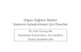 Organ Dağıtım İlkeleri Sistemin İyileştirilmesi İçin Öneriler A/22... · Organ Dağıtım İlkeleri Sistemin İyileştirilmesi İçin Öneriler Dr. Fazıl Tuncay Aki Hacettepe