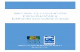 Informe DE Liquidación PRESUPUESTARIA EJERCICIO … · Directiva del INCOPESCA y el posterior refrendo de la Contraloría General de la República y aprobación del límite de gasto