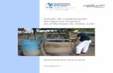Estudio de Contaminación del Agua por Arsénico en el Municipio …nuevasesperanzas.org/documents/03 Project reports/Arsenic... · 2016-07-13 · agua específicas, se asumió que