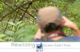 Rewilding Queen Sirikit Park - greenworld.or.th¸ายุวัต-Rewilding... · Rewilding Queen Sirikit Park. Birds in Bangkok. ้ นกจับแมลงอกสีน