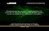 Manipulação do sistema supra-espinhal de controlo da dor ... · VII Abreviaturas C cDNA - DNA complementar Cu - Núcleo cuneato D DAB - 3,3-diaminobenzidina DNA (Deoxyribonucleic