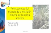 Presentación de PowerPoint · Biomasa en un cultivo de palma •Aproximadamente un 90% de la biomasa del cultivo de palma no resulta en la producción de frutos. •De una tonelada