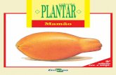 PLANTAR coleç oã - Embrapa · 2017-08-01 · A espécie mais importante, Carica papaya L., possui diversidade máxima no México e na vertente oriental dos Andes, ou, mais precisamente,