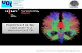 neurociencia del S.XXI el gran desafío de la Descifrar la ...dataanalysis.blogs.uoc.edu/wp-content/uploads/2018/07/Descifrar-la-red-cerebral-Eloy...Descifrar la red cerebral: el gran