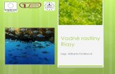 Vodné rastliny Riasyfiles.gvarza-biologia.webnode.sk/200000181-af3aab0287/Bio_Prez21_FuA... · Rozmožovanie: nepohlavne – mitóza, tvorba výtrusov (spór) = sporogónia, útržkami