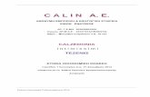 C A L I N Α. Ε.•τήσια-Οικονομική...8 Calzedonia ùχαρνές εωφόρος ûεκελείας 21 ατάστημα ιανικής ώλησης 9 Calzedonia υτιλήνης