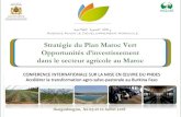 Stratégie du Plan Maroc Vert Opportunités d’investissement d'expérience Maroc-Secteur Public.pdfStratégie du Plan Maroc Vert Opportunités d’investissement dans le secteur
