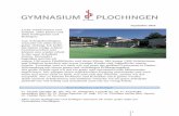 September 2019 - sadc4f66e347d275a.jimcontent.com · Klangspektrum der Band. 4 Förderverein Förderverein Gymnasium Plochingen e.V. Plochingen, September 2019 v.l.n.r.: Ingmar Hammelehle,