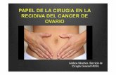 Ainhoa Sánchez. Servicio de Cirugía General HUSL · 2014-06-03 · En el panel de expertos de cáncerde ovario, realizado en el marco del quinto encuentro internacional de expertos