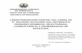 CARACTERIZACIÓN PARCIAL DEL CANAL DE K MECANO …saber.ucv.ve/bitstream/123456789/14893/1/version final TEG LOR.pdf · canal de K+ mecano-activado del eritrocito humano o HEMKCA