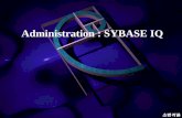 Administration : SYBASE IQ · 2015-01-22 · SYBASE IQ 서버 z기본적으로설치됩니다. OCDK zCIS 환경을이용하여다른RDBMS로부터데이터를직접가져오거나혹은isql