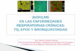 Presentación de PowerPointelcomprimido.com/FARHSD/ComisionInfeccionesHUSD... · 2019-02-18 · Biofilms: Agrupación celular adherida a superficie sólida en matriz de exopolisacárido