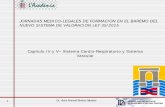 JORNADAS MEDICO-LEGALES DE FORMACION EN EL BAREMO DEL NUEVO SISTEMA … · 2016-02-24 · 1 Dr.. Víctor Manuel Sánchez Salvador JORNADAS MEDICO-LEGALES DE FORMACION EN EL BAREMO